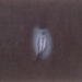 book_detail