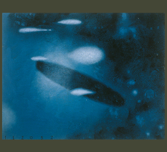UFO 112052