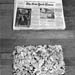 17News_shredded